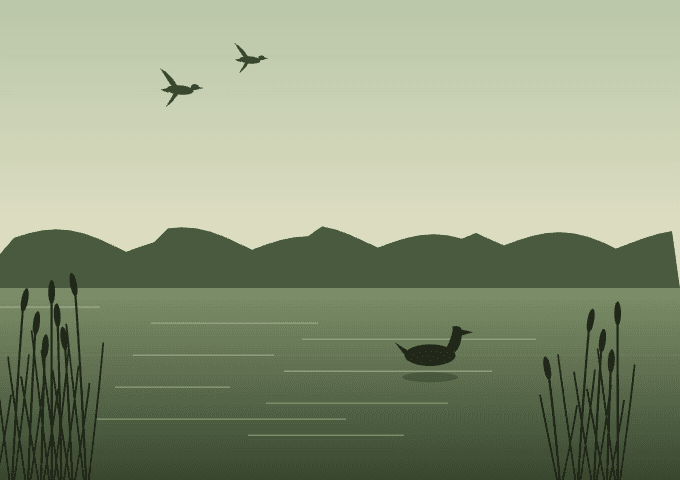 A wetland at dusk with a duck on still water